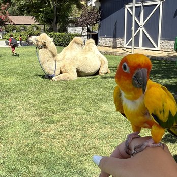 Reptacular Ranch - Ranches Near Me - Sylmar, California Reptacular Ranch - Ranches Near Me - Sylmar, California