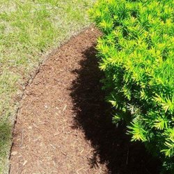 Maccarone Family Landscaping - Clean edging