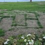 Photo of Home Turf