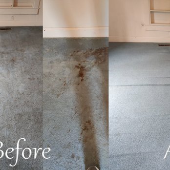 Markley Floor Restore - Pet stains removed from carpeting. Before and After. - Carpet Cleaning Near Me - Joplin, Missouri Markley Floor Restore - Pet stains removed from carpeting. Before and After. - Carpet Cleaning Near Me - Joplin, Missouri