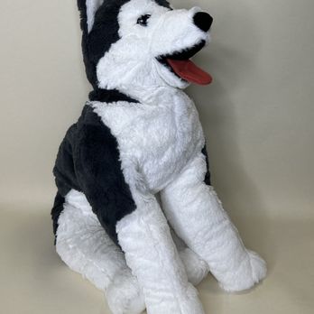 Glad Dogs Nation - Glad Dogs Nation has toys that look just like your dog. Check out the mini me toys! - Pet Stores Near Me - Feasterville-Trevose, Pennsylvania Glad Dogs Nation - Glad Dogs Nation has toys that look just like your dog. Check out the mini me toys! - Pet Stores Near Me - Feasterville-Trevose, Pennsylvania
