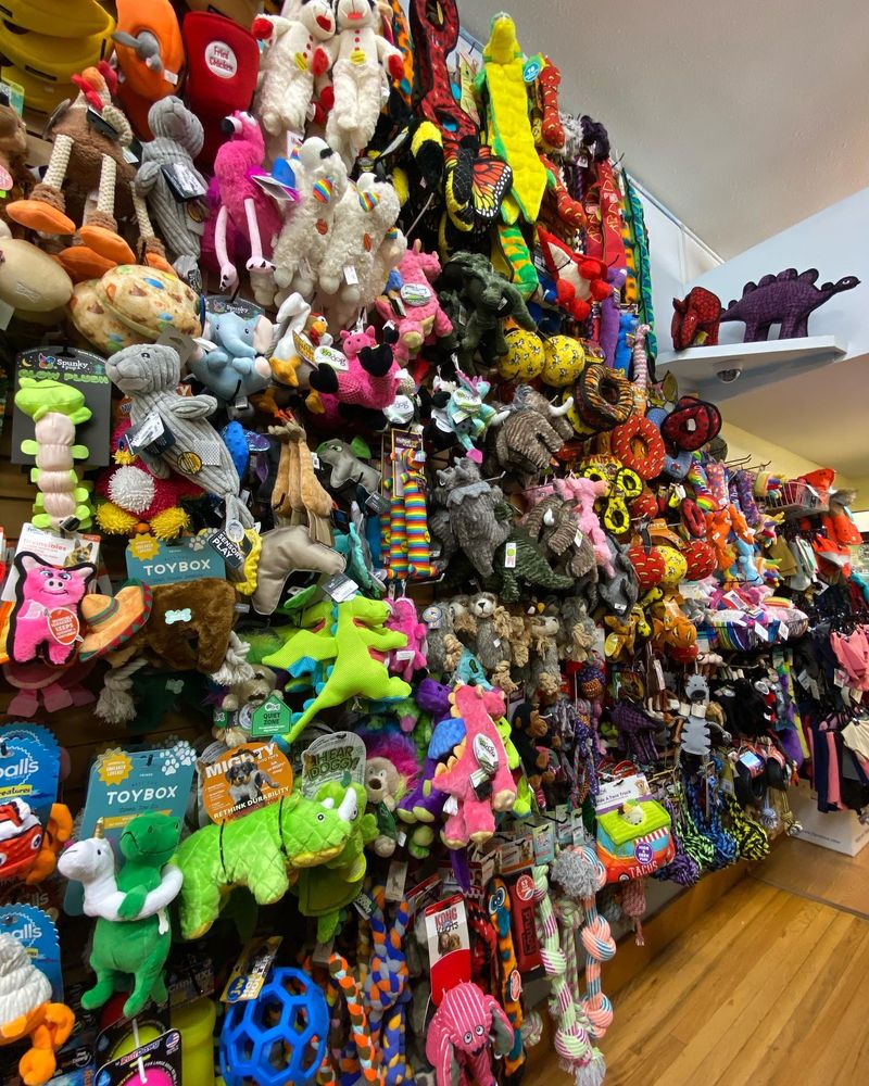 Ciji's Natural Pet Supplies Image