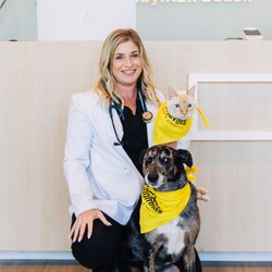 GoodVets Boynton Beach