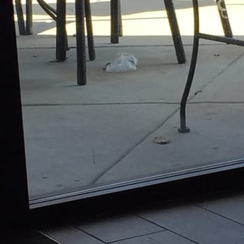 Starbucks - Coffee & Tea Near Me - San Antonio, Texas