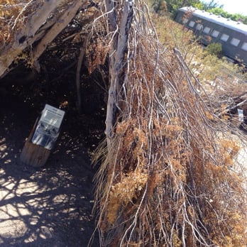 Clark County Museum - hut made to keep away from the heat and weather - Museums Near Me - Henderson, Nevada