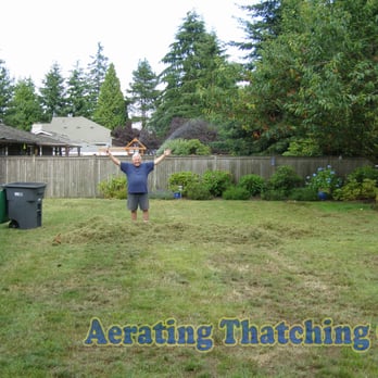 Aerating Thatching Co - freshly thatched lawn - Lawn Services Near Me - Seattle, Washington