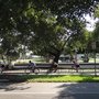 Photo of Kendale Lakes Bike Loop