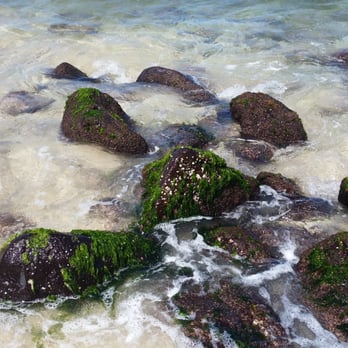 Laniakea Beach - Rocks - Beaches Near Me - Haleiwa, Hawaii Laniakea Beach - Rocks - Beaches Near Me - Haleiwa, Hawaii