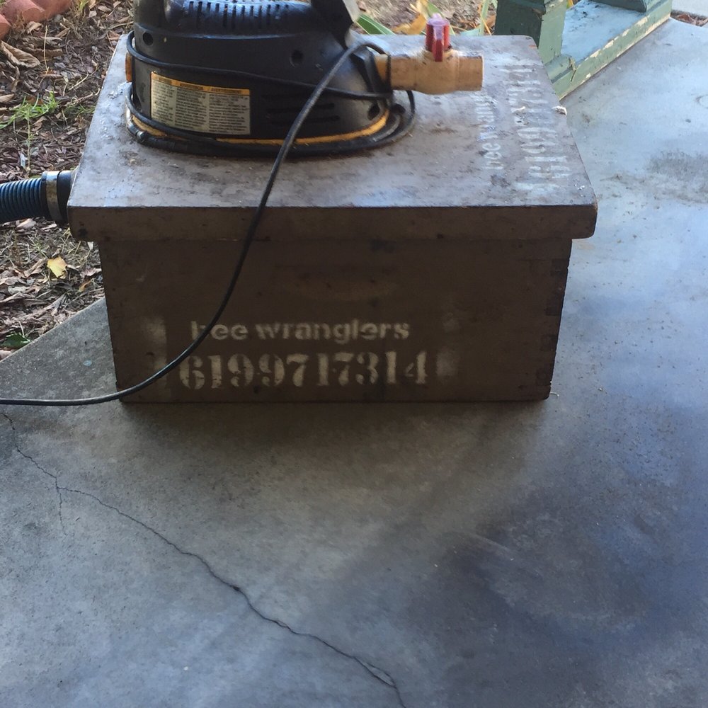 Bee Wranglers - Pest Control Near Me - Riverside, California Bee Wranglers - Pest Control Near Me - Riverside, California