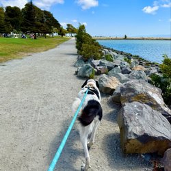 Marina Park