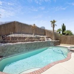 Brasch Pool & Spa - Pool & jacuzzi