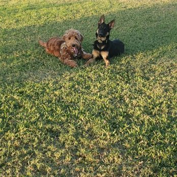 Westwillow Park - Dog Parks Near Me - Houston, Texas