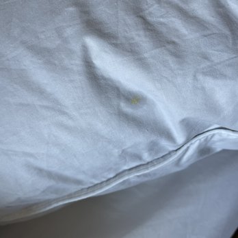 Tru by Hilton Indianapolis Downtown - Stained pillows - Hotels Near Me - Indianapolis, Indiana Tru by Hilton Indianapolis Downtown - Stained pillows - Hotels Near Me - Indianapolis, Indiana