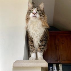 Pet and People Sitters - Photo from one of the sitters as an update.