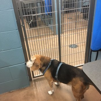Feeders Supply - Pet Stores Near Me - Louisville, Kentucky