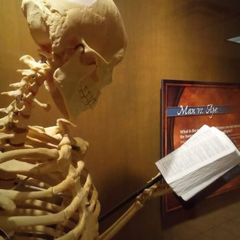 Creation Museum - Museums Near Me - Petersburg, Kentucky