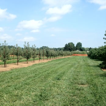 Eastmont Orchards - Pick Your Own Farms Near Me - Colts Neck, New Jersey