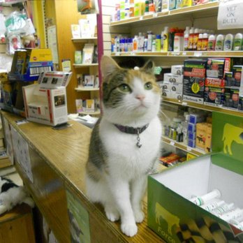 Eugene McGrath Veterinary Practice - Veterinarians Near Me - Tralee, Kentucky