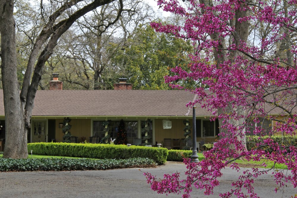 New Dawn Treatment Centers - grief counselor in Orangevale, CA