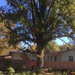 Arbor Tree Service