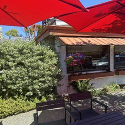 Pescadores Bistro - Saw two bald eagles landing in the trees next to the river across the street.