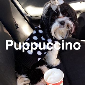 Pups N Such - Great grooming service! - Pet Groomers Near Me - King City, California Pups N Such - Great grooming service! - Pet Groomers Near Me - King City, California