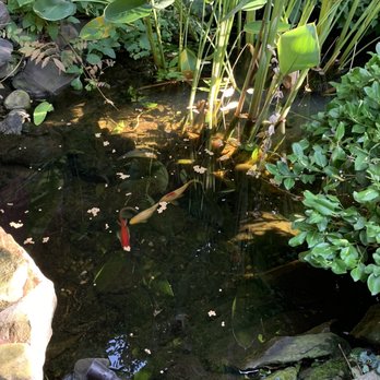 Farnsworth House Bed & Breakfast - Garden pond - Bed & Breakfast Near Me - Marion Center, Pennsylvania Farnsworth House Bed & Breakfast - Garden pond - Bed & Breakfast Near Me - Marion Center, Pennsylvania