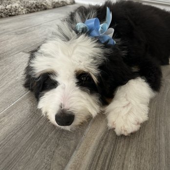 Wagon Train Feed and Pet - Pet Stores Near Me - Orange, California