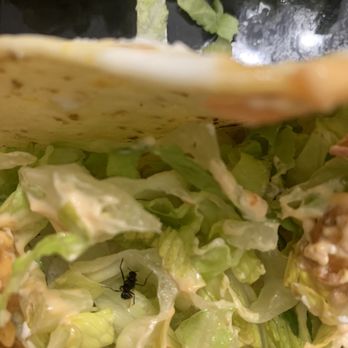 Bonefish Grill - Bang bang shrimp tacos - Seafood Near Me - Plantation, Florida