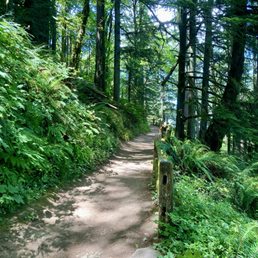 Trail Trail