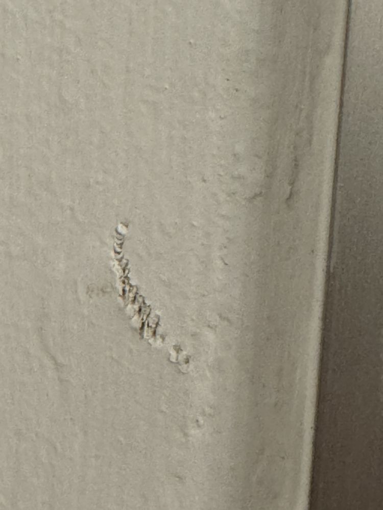 Slide of Husband 4 Hire