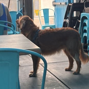 No Ka Oi - DOG FRIENDLY! - Hawaiian Near Me - Huntington Beach, California