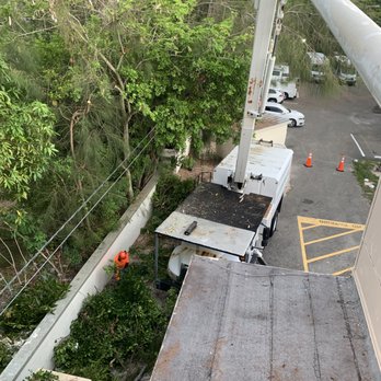 Arborite Tree Care - Tree Services Near Me Arborite Tree Care - Tree Services Near Me