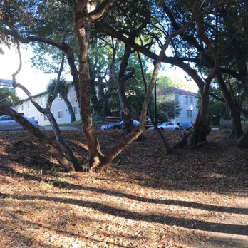 Arroyo Park - Literally right next to cul-de-sac, so pretty safe! - Parks Near Me - San Mateo, California