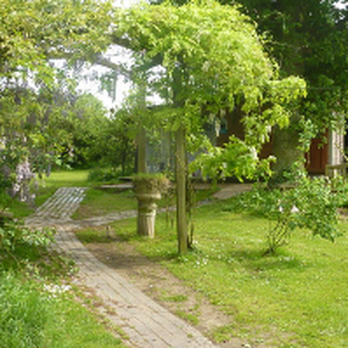 White Cottage Boarding Cattery - Pet Sitting Near Me - Bracknell, BRC