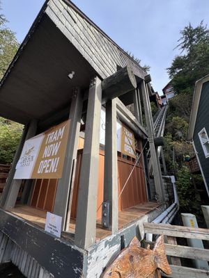 Cape Fox Lodge by null