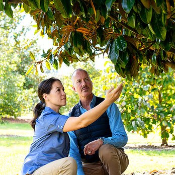 Bartlett Tree Experts - Tree Services Near Me - Carlisle, Pennsylvania Bartlett Tree Experts - Tree Services Near Me - Carlisle, Pennsylvania
