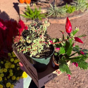 Enchanted Gardens - Nurseries & Gardening Near Me - Richmond, Texas