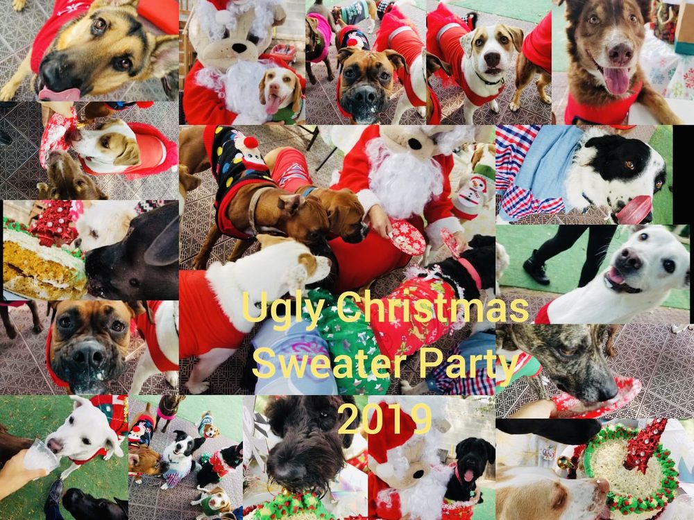 MELISSA’S PET SERVICES 101 Photos 6820 N Taylor Rd, McAllen, Texas