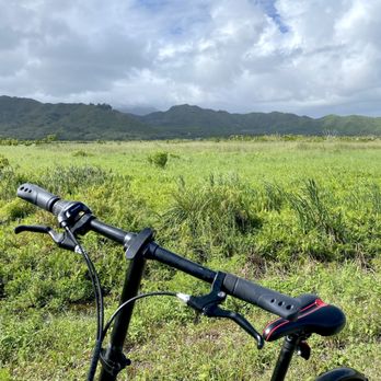 Kawainui Marsh Trail - Hiking Near Me - Kailua, Hawaii