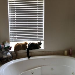 One of Beth Anne's daily update photos! I was so happy to receive these so I knew how my babies were doing!