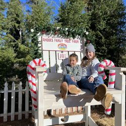 Rhodes Family Tree Farm - Great Photo opportunity
