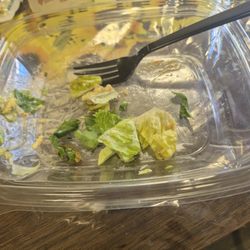 Wendy's - Nasty lettuce