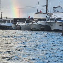 Molokai Fish & Dive