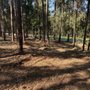 Photo of Coastal Brush Cutting