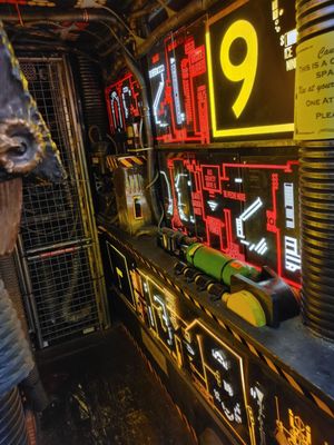 The Freakybuttrue Peculiarium and Museum by null