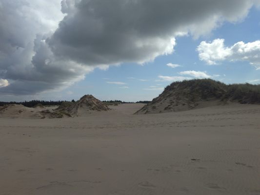 Råbjerg Mile by null