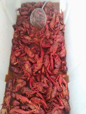 Down South Texas BBQ by null