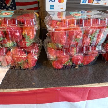 The Southern Cross - Fruits & Veggies Near Me - Berea, Kentucky