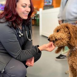 PAWS Health Partners - Yummy treats!